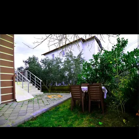 Sevinc Home's *