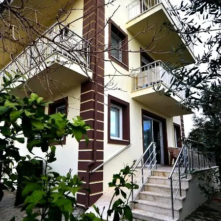 Sevinc Home's *