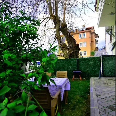 Daire Sevinc Home's *